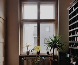 Inspect-Your-Windows