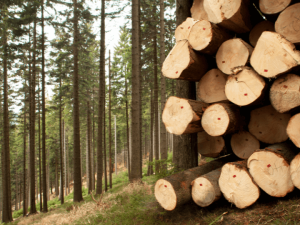 Sustainable Materials