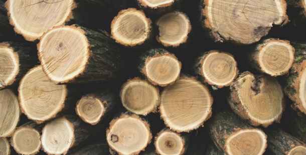 Engineered Timber in the Window and Door industry